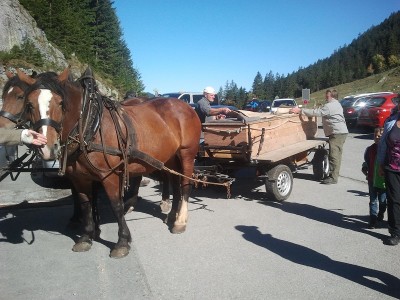 2013-10-03 11.46.12.jpg