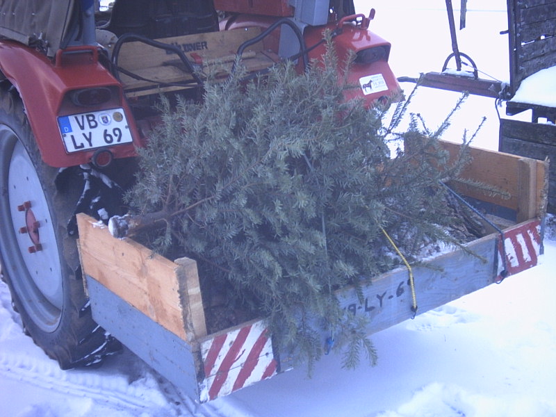 BILDER SCHNEE 005.JPG