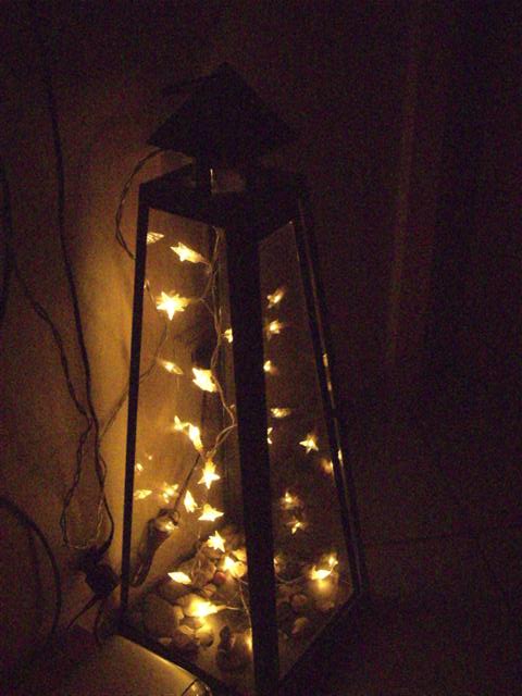 DSCI1548 (Small).JPG