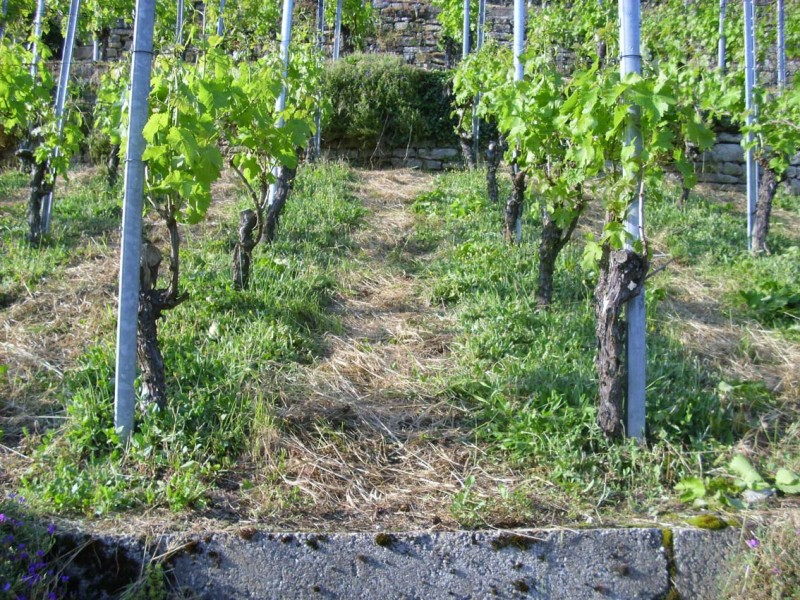 DSCI0832_klein.jpg