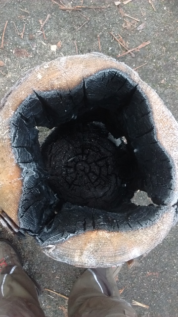 IMG_20161205_105315389 (360x640).jpg