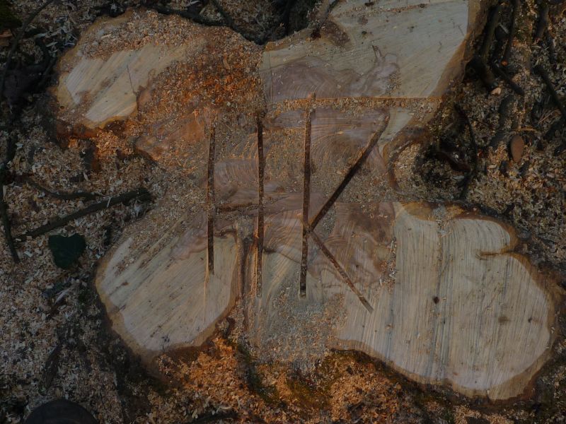 holzen samstag 7.jpg