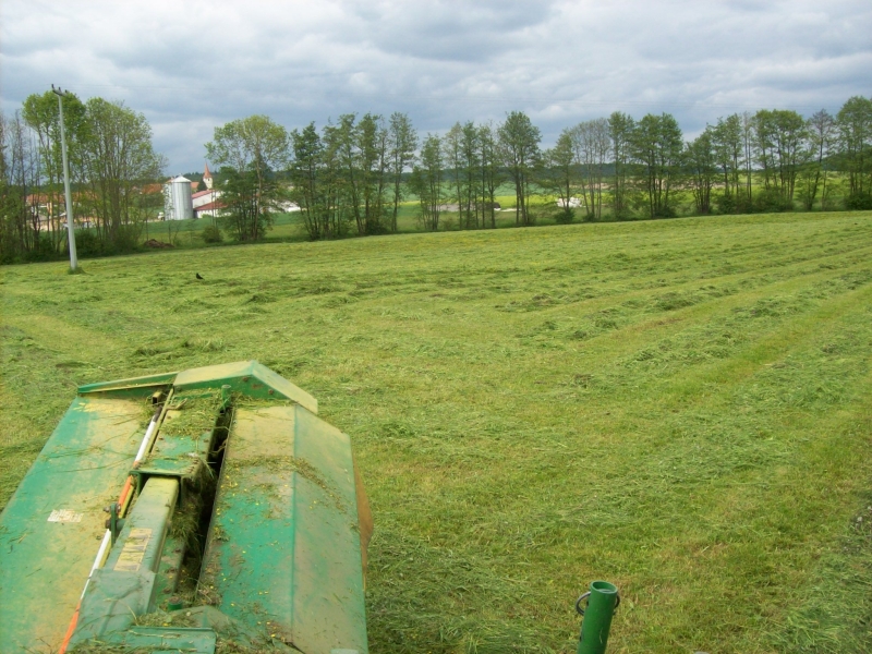 Silieren 20014 3.jpg