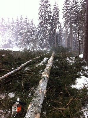 IMG_1496 - Kopie.JPG