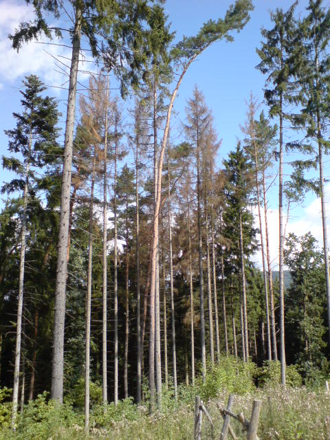 DSC00137.JPG