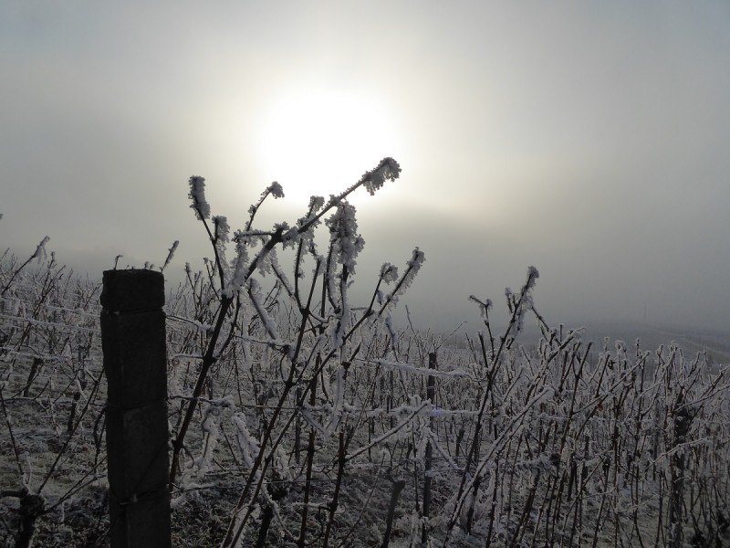 2017_01_01 - 06lt.JPG