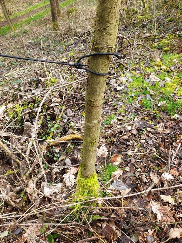 vor einigen Wochen.jpg