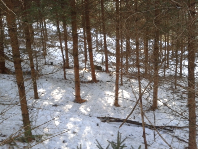 2015-02-20 11.53.25 (640x480).jpg