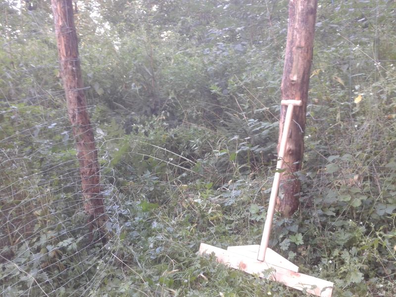 Brombeerrechen 1.jpg