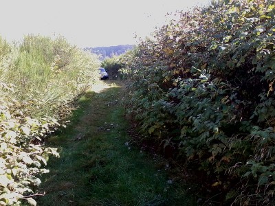 Foto0384b.jpg