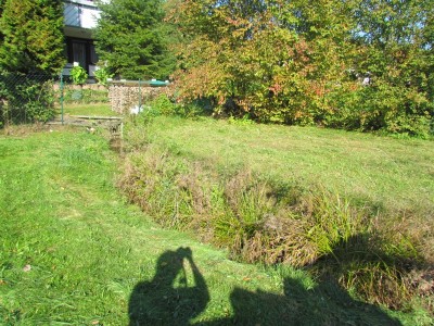 IMG_1667.JPG