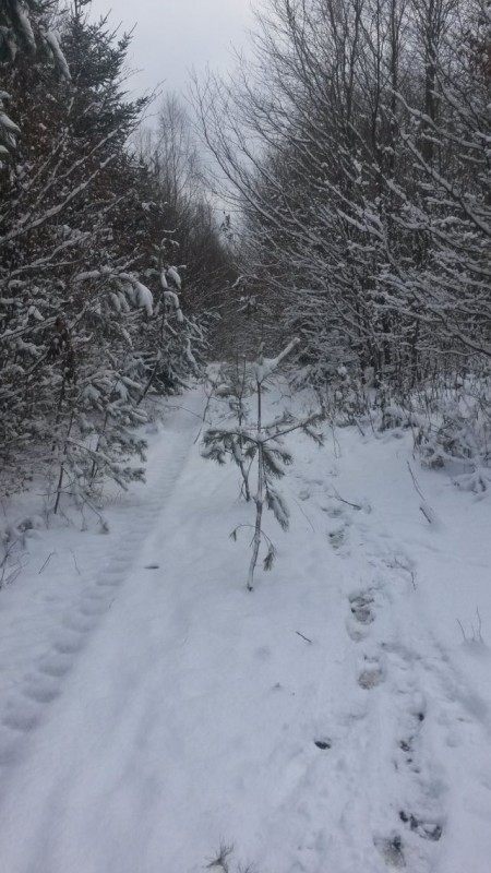 Eindrücke 17.01 (2).jpg