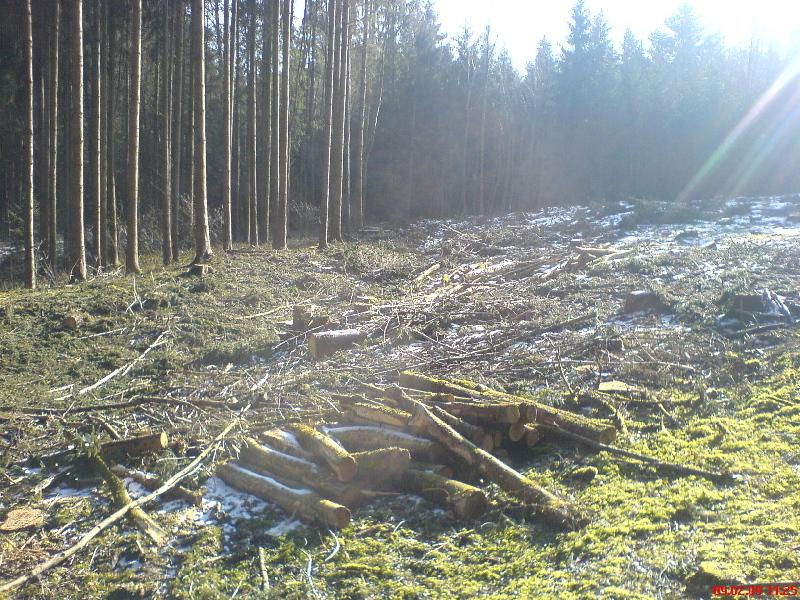 09-Feb-09_Kahlschlag_V01.jpg