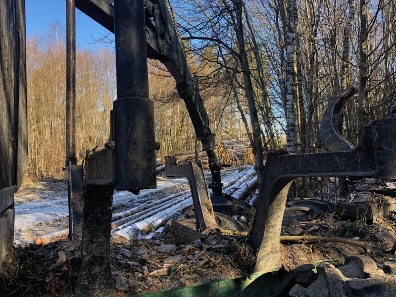 Wald-Technik-Holz.jpg