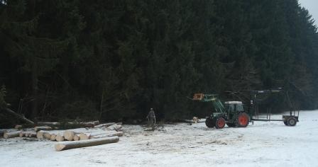 Waldarbeit_Januar_2009_012.jpg