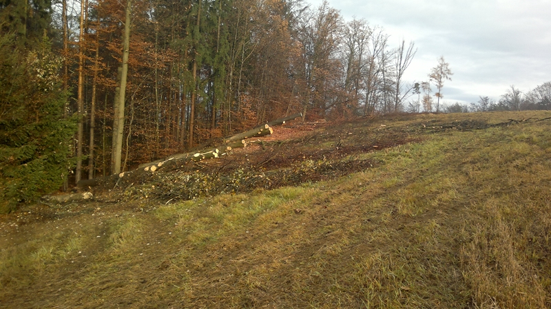 041220111271 (Kopie).jpg