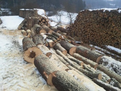 K1024_2014-02-01 14.44.19.JPG