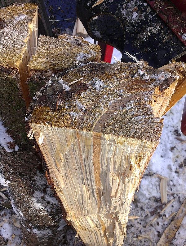 2015-01-31 10.10.56.jpg