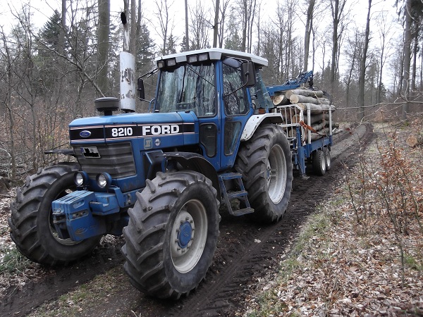 Holzabfuhr Teil 3 022.JPG