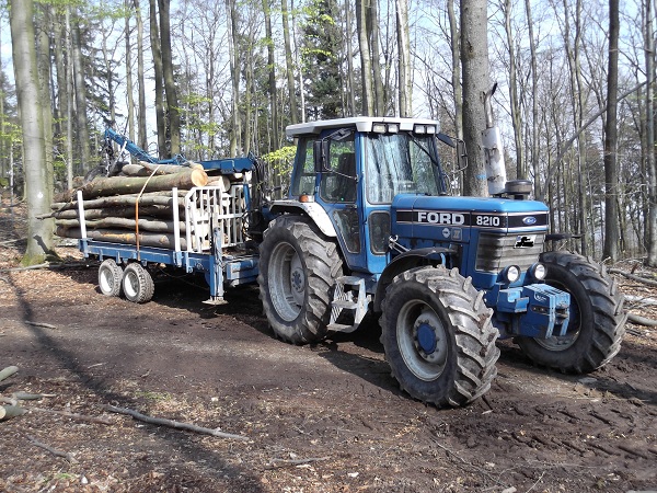 Holzabfuhr 2012 Teil 4 005.JPG