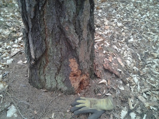 2012-04-07 12.06.02.jpg