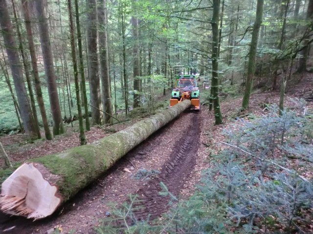 Starkholz 007.jpg