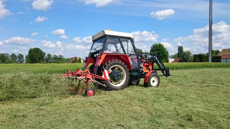 DSC_0125 (Mittel).JPG