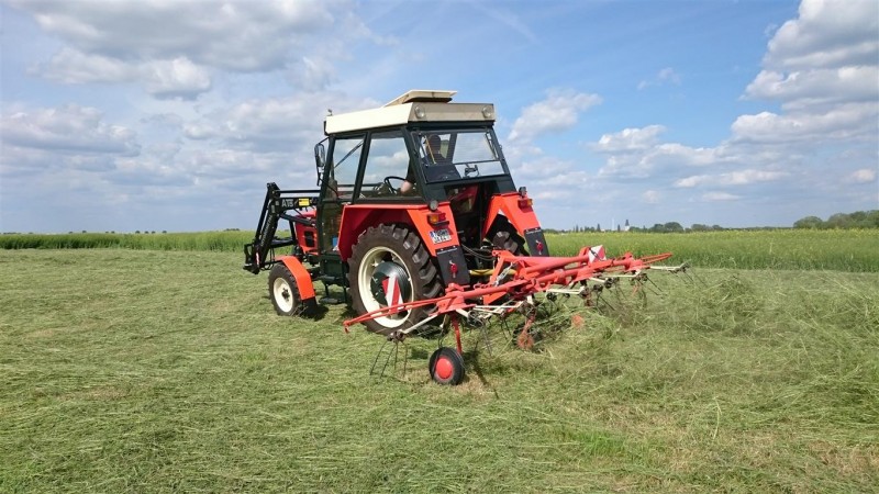 DSC_0132 (Mittel).JPG