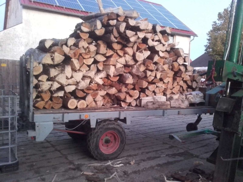 2018-09-11 Holz machen 2.jpg