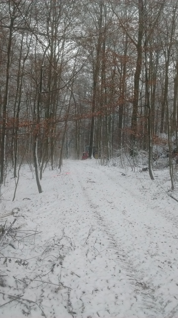 IMG_20170103_154300919 (360x640).jpg