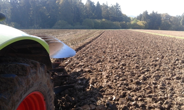 i158^cimgpsh_orig (640x384).jpg