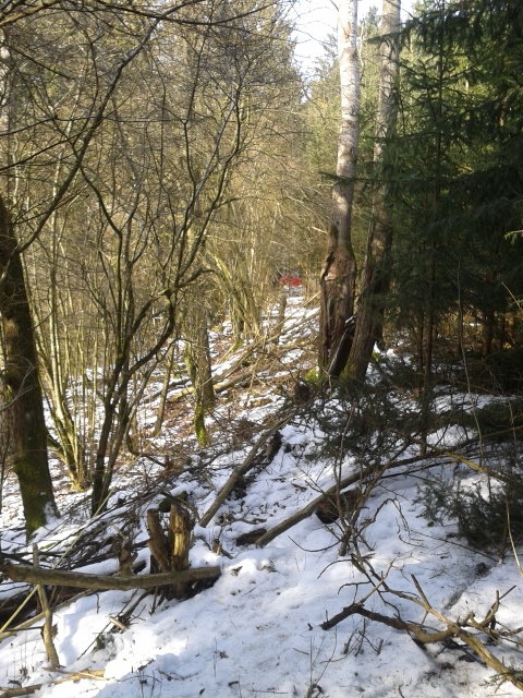 2015-02-21 13.50.21 (480x640).jpg