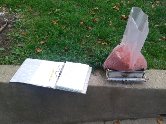 2014-10-15 14.07.05 (640x480).jpg