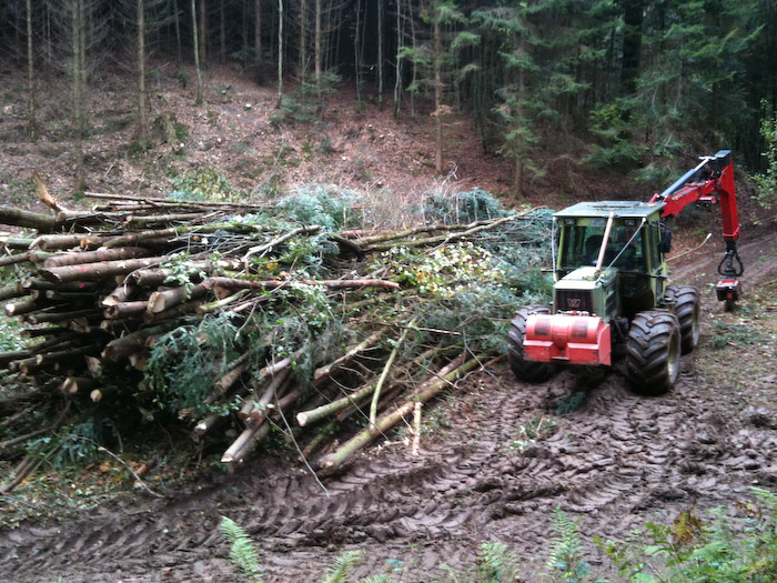 20101009-Bild 136.jpg