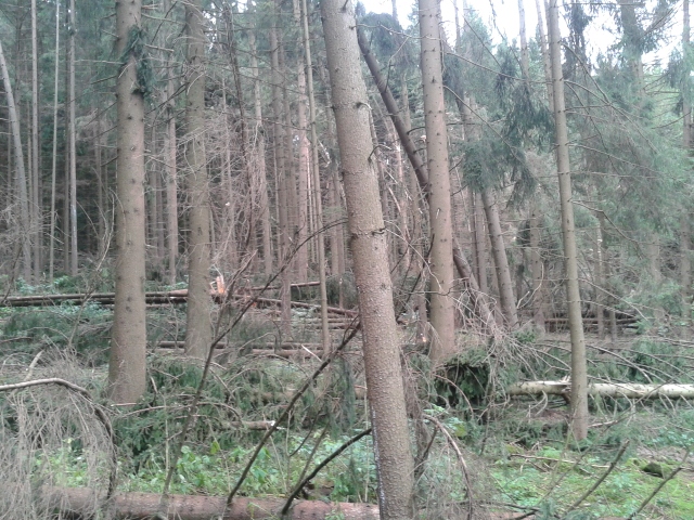 2012-08-24 10.10.12 (640x480).jpg