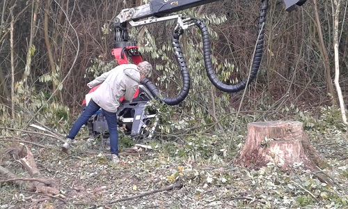 2016-10-30 16.08.59.jpg