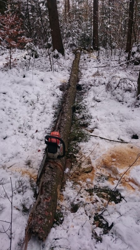 DSC_1224 (Medium).JPG