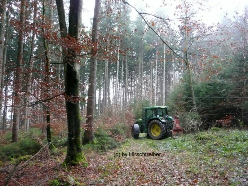 wald6.jpg