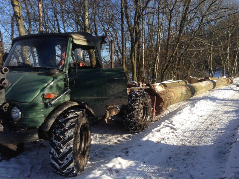Unimog Buche 3.JPG