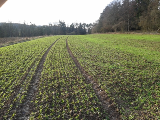 2014-12-23 14.49.44 (640x480).jpg