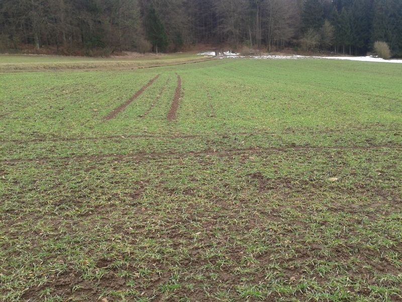 2014-02-09 10.29.09 (800x600).jpg