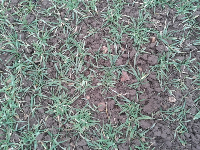 2014-02-09 10.29.49 (640x480).jpg