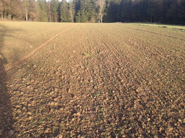 2014-12-23 14.50.48 (640x480).jpg