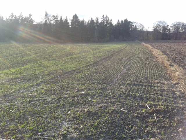 2014-12-23 14.55.17 (640x480).jpg