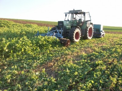 Winterweizen2011 015a.jpg