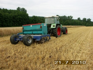 Zwischenfrucht 016klein.jpg