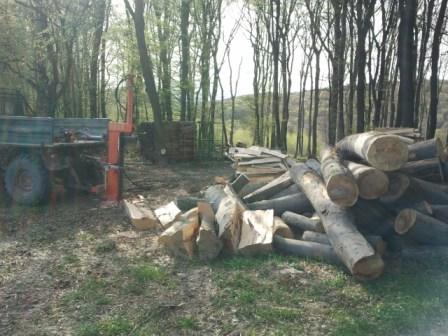 2011-04-07 16.43.33.jpg