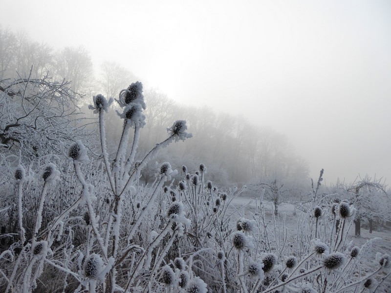 2017_01_01 - 21lt.JPG