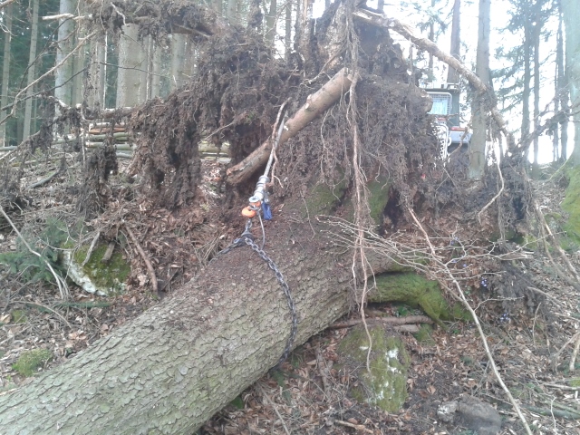 2015-04-04 15.11.05 (640x480).jpg