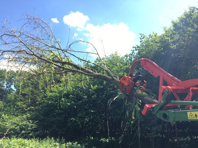 WhatsApp Image 2017-06-12 at 09.46.36 (1).jpeg